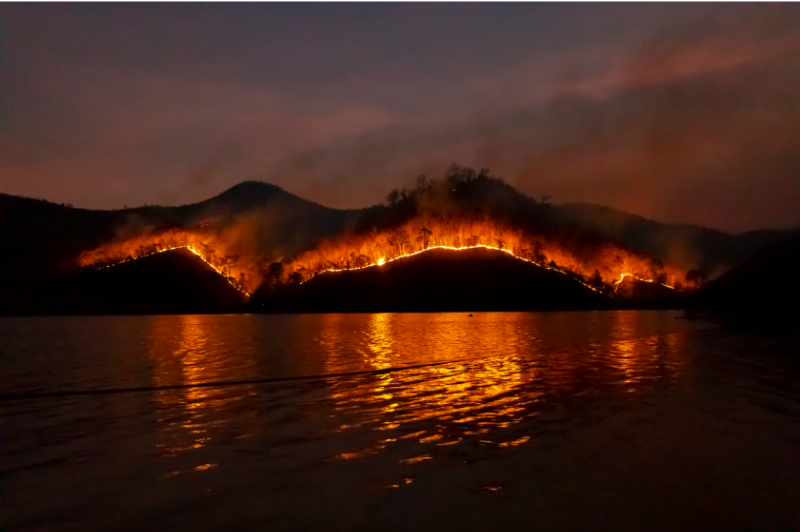 Wildfire In Mountians