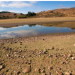 Why California Is Drying Up And What Can Be Done To Mitigate The Droughts