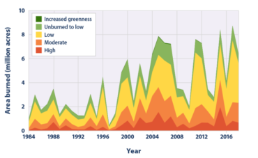 Wildfires chart